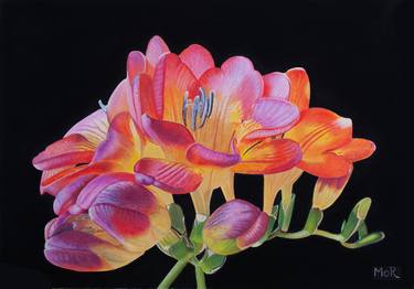Original Fine Art Floral Paintings by Dietrich Moravec