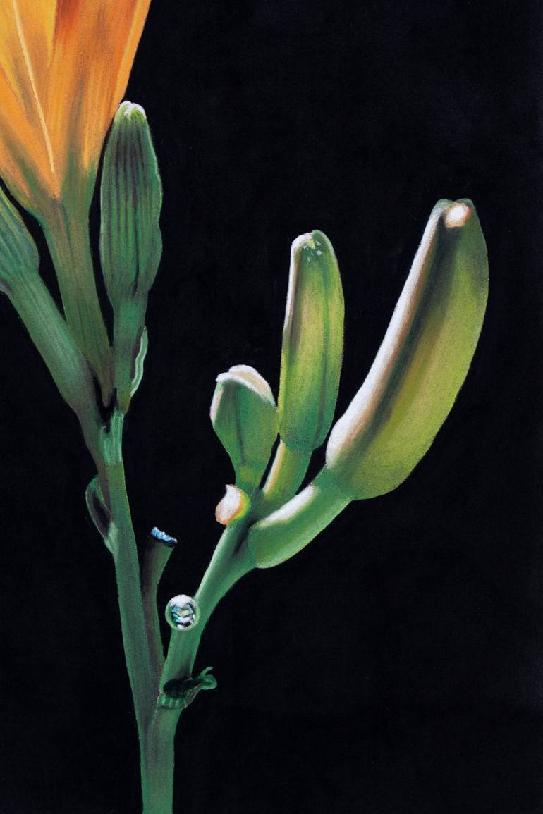 Original Floral Painting by Dietrich Moravec