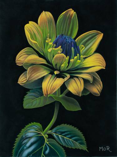 Original Photorealism Floral Paintings by Dietrich Moravec