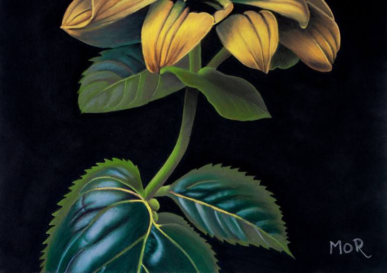 Original Photorealism Floral Painting by Dietrich Moravec