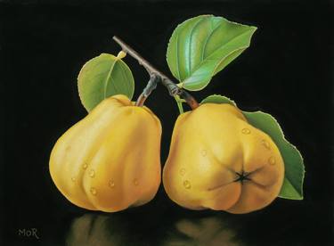 Two Quinces on a Twig thumb