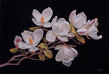 Original Floral Paintings by Dietrich Moravec