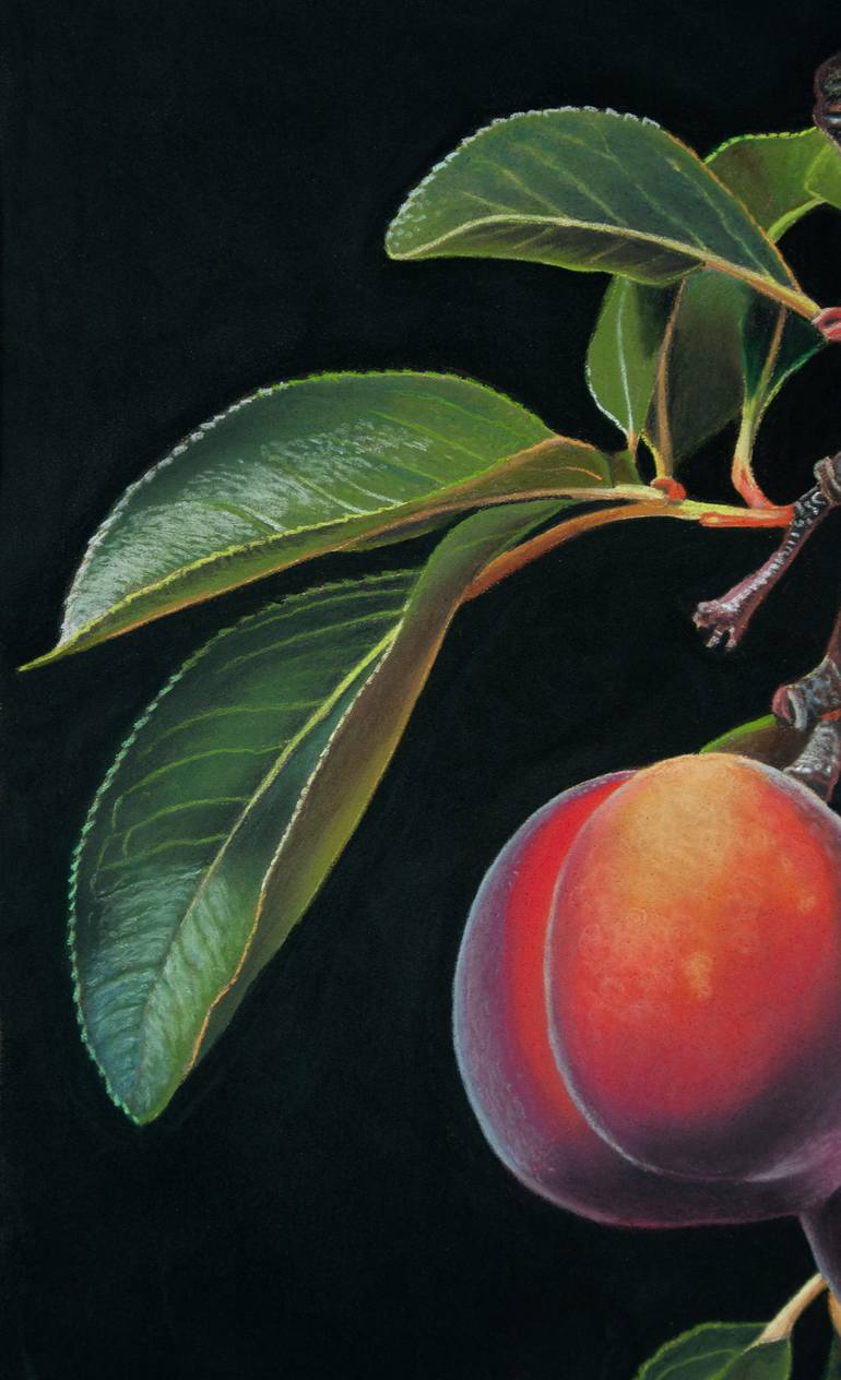 Original Photorealism Still Life Painting by Dietrich Moravec