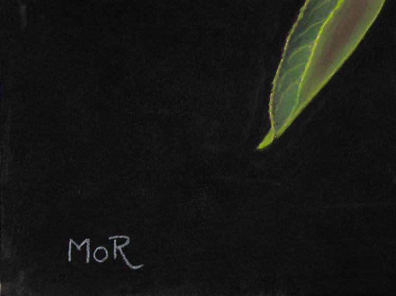 Original Photorealism Still Life Painting by Dietrich Moravec