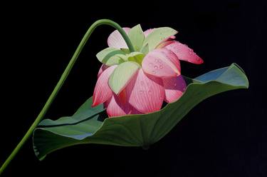 Print of Realism Floral Paintings by Dietrich Moravec