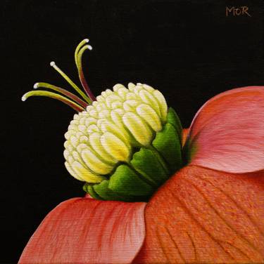 Original Realism Floral Paintings by Dietrich Moravec