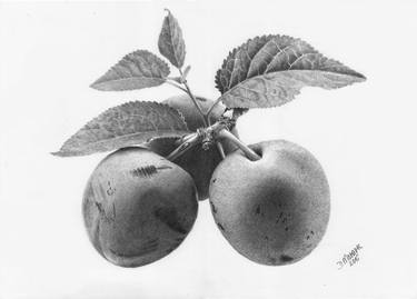 Original Realism Food Drawings by Dietrich Moravec