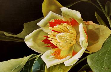 Original Realism Floral Paintings by Dietrich Moravec