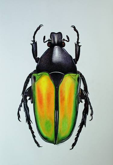 Print of Photorealism Animal Drawings by Dietrich Moravec