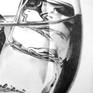 It´s been a while since I drew my last pencil drawing, but I thought I should give it another try. Liquids and transparent stuff like glass and ice cubes are interesting items for drawing with graphite pencils. But the real difficulty lies in photographing the drawing because of the shining of the graphite. Not the most perfect shots, I guess a scan would be better, but at the moment I have to get along with what I have.

Graphite pencils on Bristol smooth paper.
