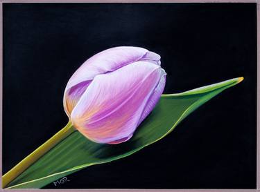 Print of Fine Art Floral Paintings by Dietrich Moravec