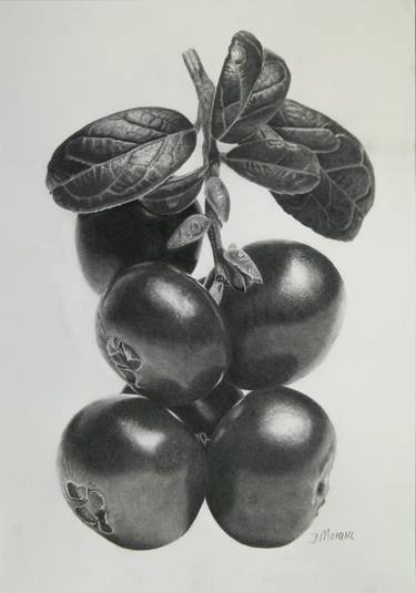 Print of Photorealism Food Drawings by Dietrich Moravec