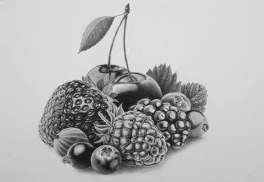 Original Still Life Drawings by Dietrich Moravec