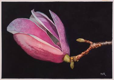 Print of Photorealism Floral Paintings by Dietrich Moravec