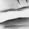 Detail of the signature