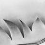 Detail of pencil drawing