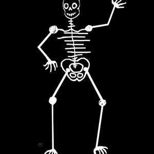 Collection Skeleton