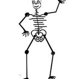Collection Skeleton