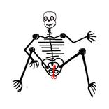 Collection Skeleton