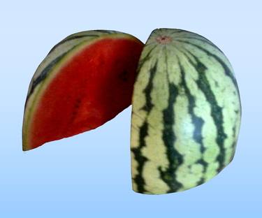 Watermelon Duo Blue thumb