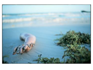 Print of Documentary Political Photography by Alexandre Mavrellis Oktan