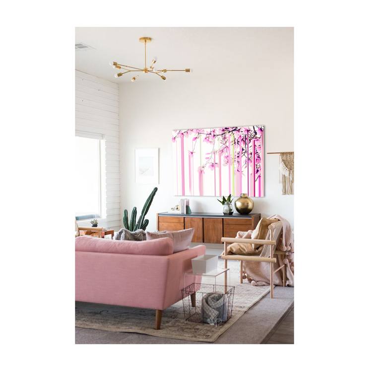 Original Abstract Botanic Photography by Desiree Patterson