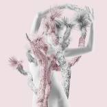 Collection Celebrating the Female Form