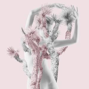 Collection Art For C$1000+