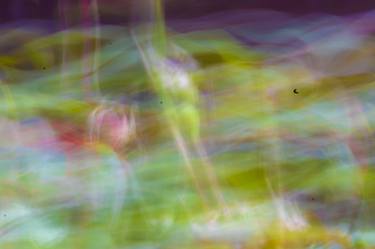 Original Abstract Digital by Donna Starnes