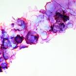 Just one color and it's purple by Donna Starnes