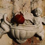 Angel and pomegranate by Dragan Lovrenovic