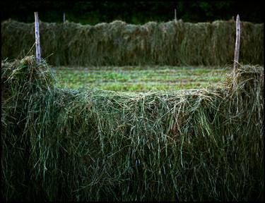 Original Contemporary Rural life Photography by Tom Hanslien