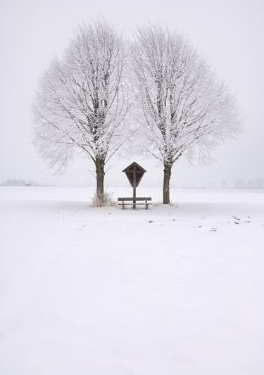 Print of Seasons Photography by Tom Hanslien