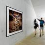 Gallery preview.
