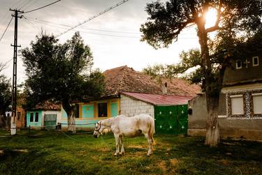 Print of Documentary Travel Photography by Tom Hanslien