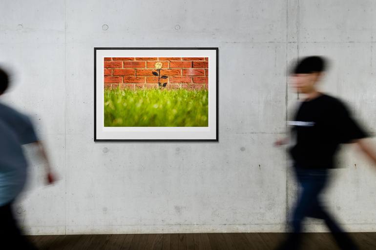Original Documentary Graffiti Photography by Tom Hanslien