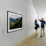 Gallery preview.