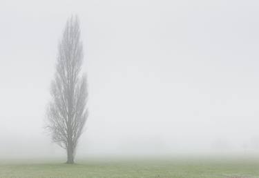 London Fog VII (84x119cm) thumb