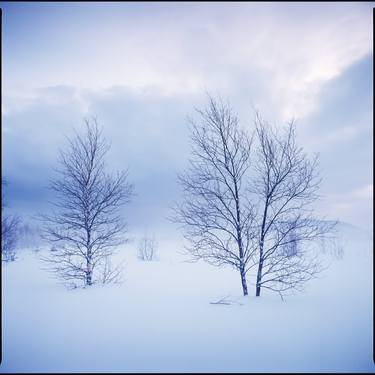 Print of Documentary Landscape Photography by Tom Hanslien