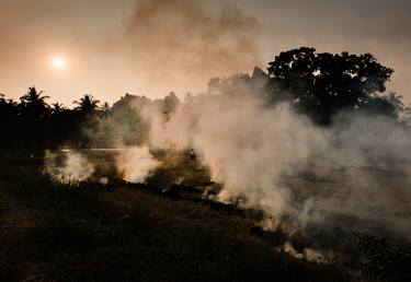 Burning Fields (84x119cm) thumb