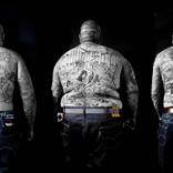 Collection DMcuratedselects