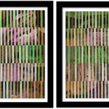 Collection Diptychs, Triptychs, and Paired Works
