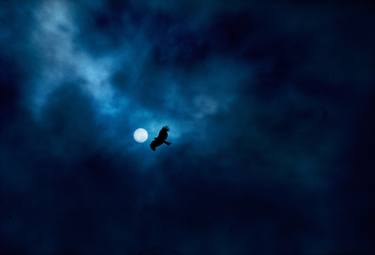 Tibetan Sky Burial/ 1 of 4 images in Tibetan Blue Collection thumb