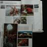 Articles about Jan Reynolds' photographs in National Geographic, and Photo District News