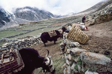 Himalayan Salt Trade Collection 2 of 15, Artist's Proof #2 thumb