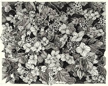Print of Illustration Nature Drawings by Nives Palmic