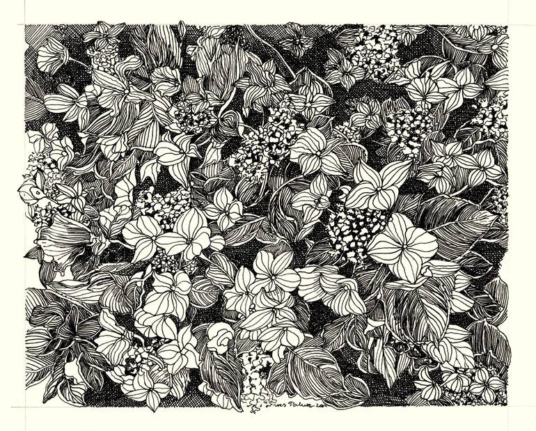 Original Black & White Nature Drawing by Nives Palmic