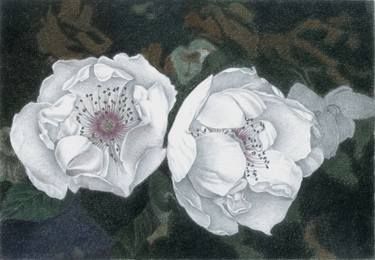 Print of Realism Floral Drawings by Nives Palmic