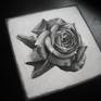 Charcoal drawing of a dark rose.