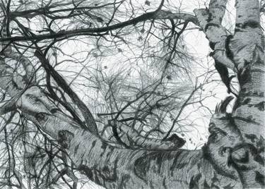 Print of Nature Drawings by Nives Palmic